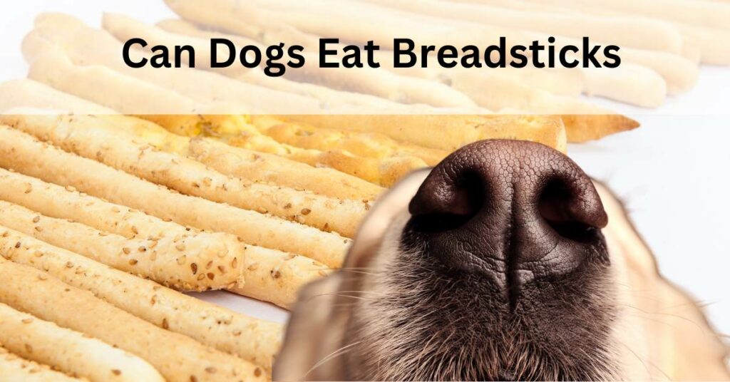 Can Dogs Eat Breadsticks, written in white. The is a dog sniffing various types of breadsticks.