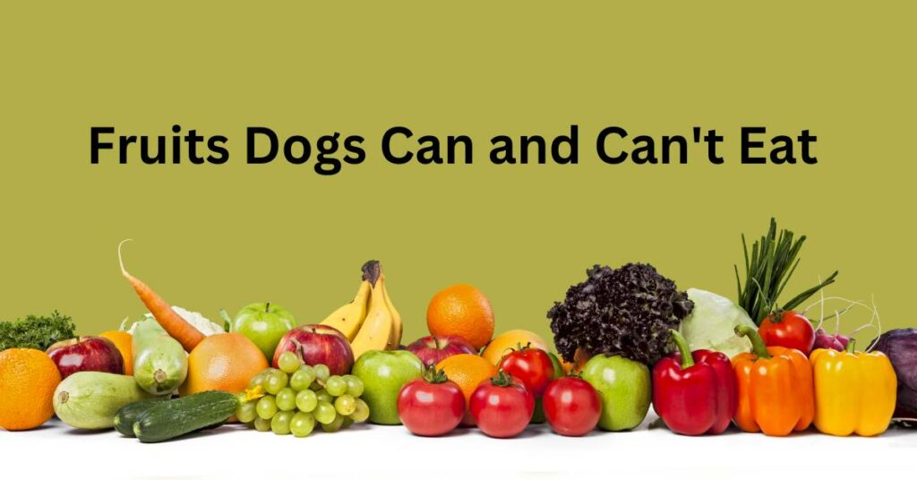 Fruits Dogs Can and Can't Eat, written in black. The image is of bananas, Apples, Grapes, Tomatoes, Peppers, Carrots, and courgettes. 