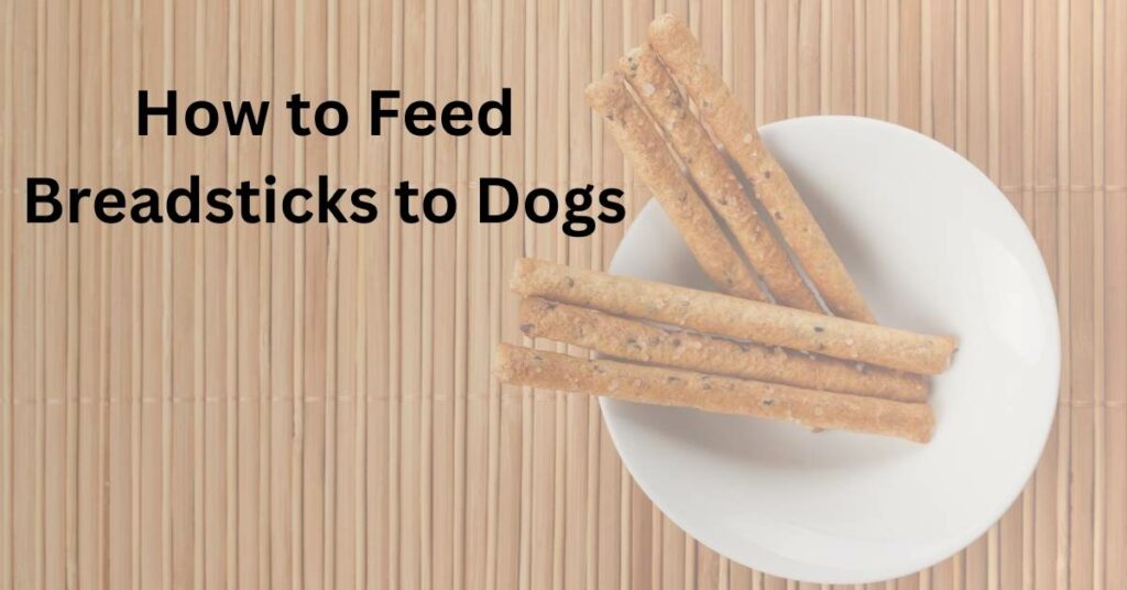 How to Feed Breadsticks to Dogs, written in black. There is a bowl of breadsticks