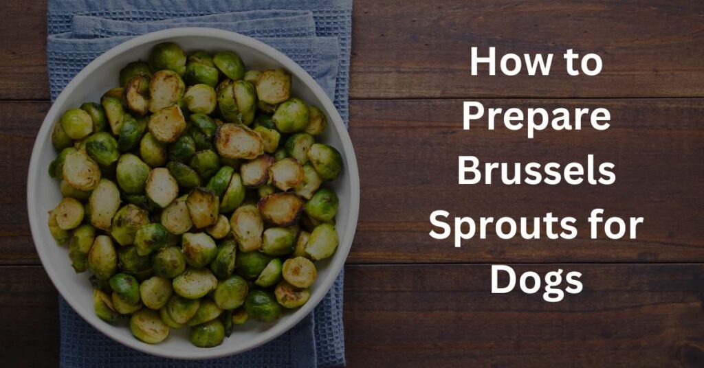 How to Prepare Brussels Sprouts for Dogs written in white with a bowl of cooked Brussels Sprouts.