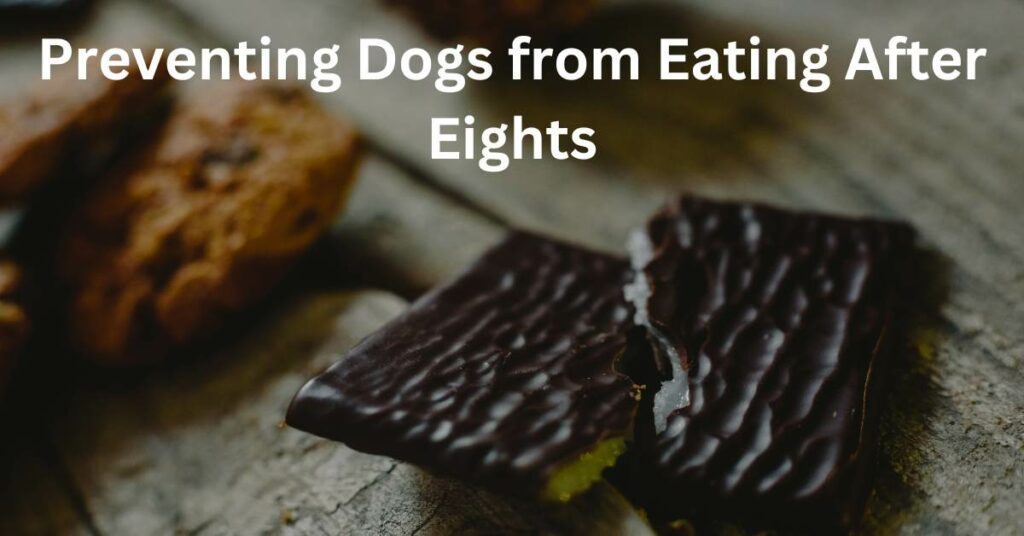 Preventing Dogs from Eating After Eights, written in white. There is a pile after of eight mints.