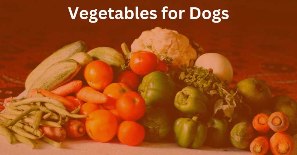 Vegetables for Dogs is written in white with a pile of vegetables.