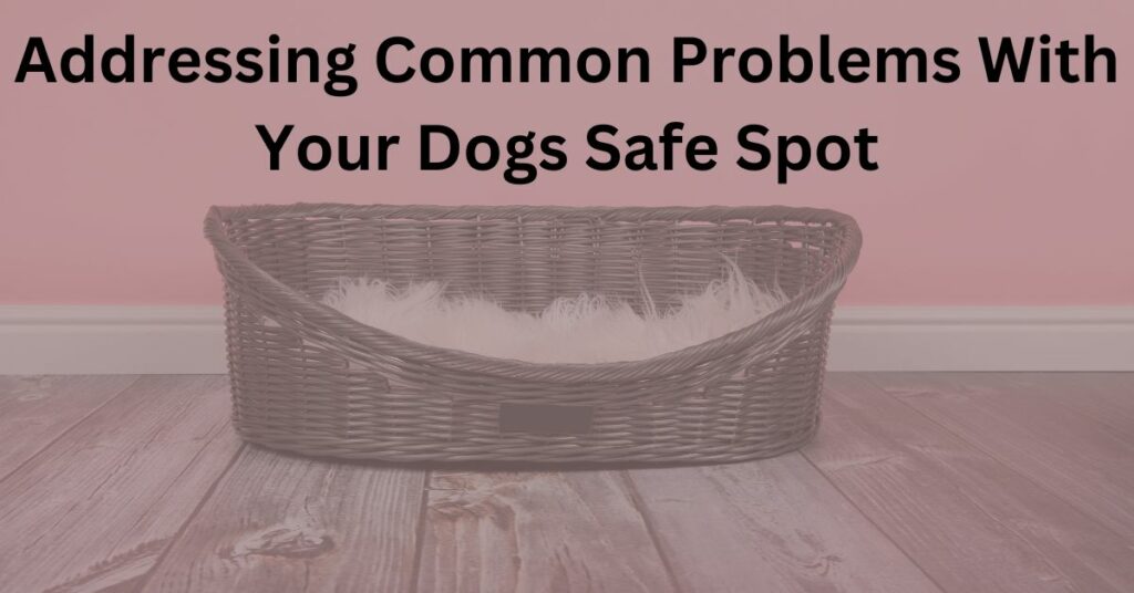 Addressing Common Problems With Your Dogs Safe Spot