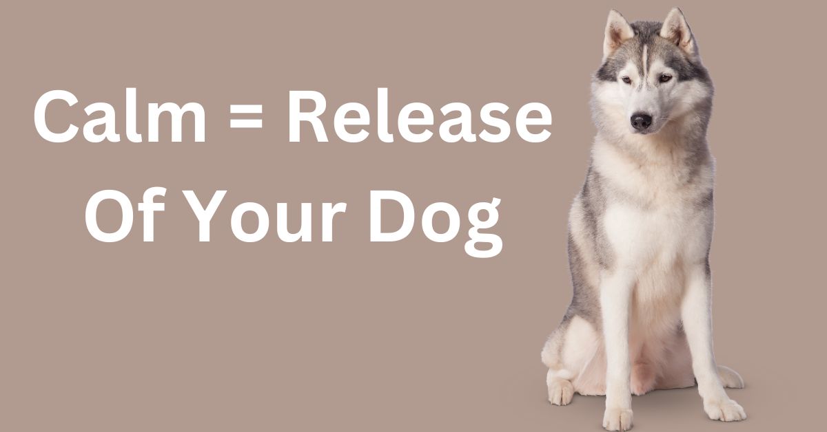 Calm = Release Of Your Dog