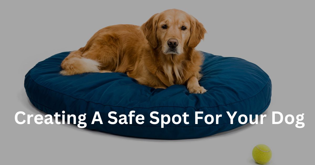 Creating A Safe Spot for your dog