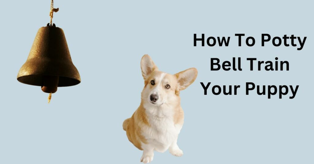 How To Potty Bell Train Your Puppy