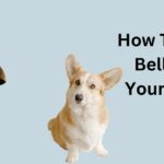 How To Potty Bell Train Your Puppy