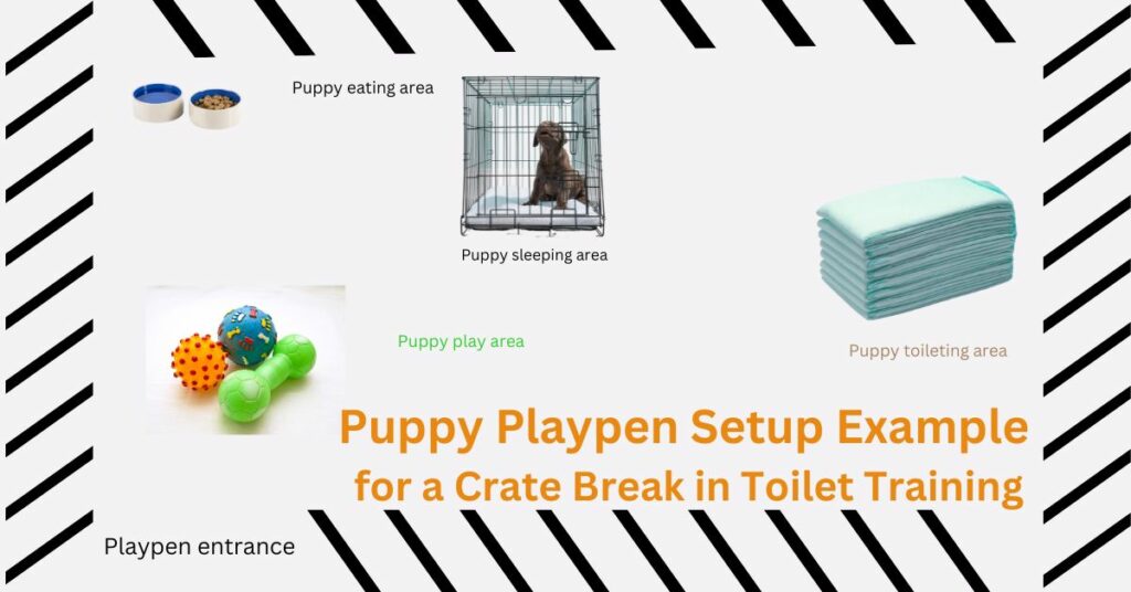 Puppy Playpen Setup Example